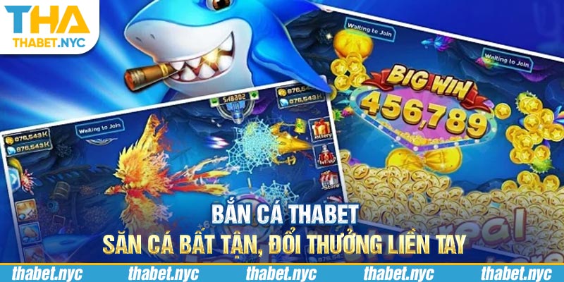 Bắn Cá Thabet - Săn Cá Bất Tận, Đổi Thưởng Liền Tay