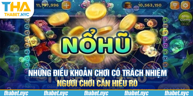 Những điều khoản chơi có trách nhiệm người chơi cần hiểu rõ 