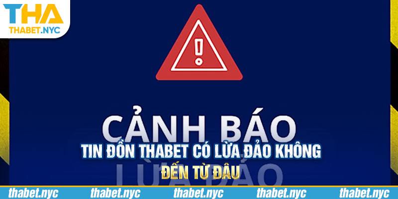 Tin đồn Thabet có lừa đảo không đến từ đâu